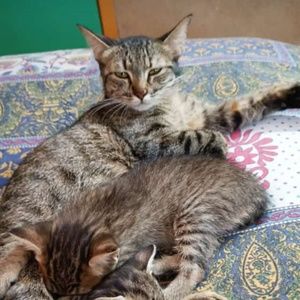 Meet your Posher, Seema